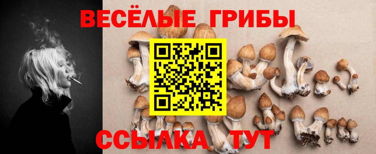 Псилоцибиновые грибы Psilocybe  Вход с VPN  Джанкой 
