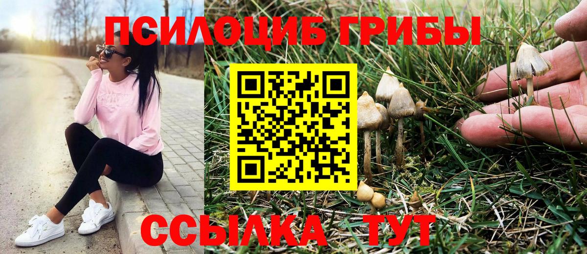 Галлюциногенные грибы Psilocybine cubensis Джанкой